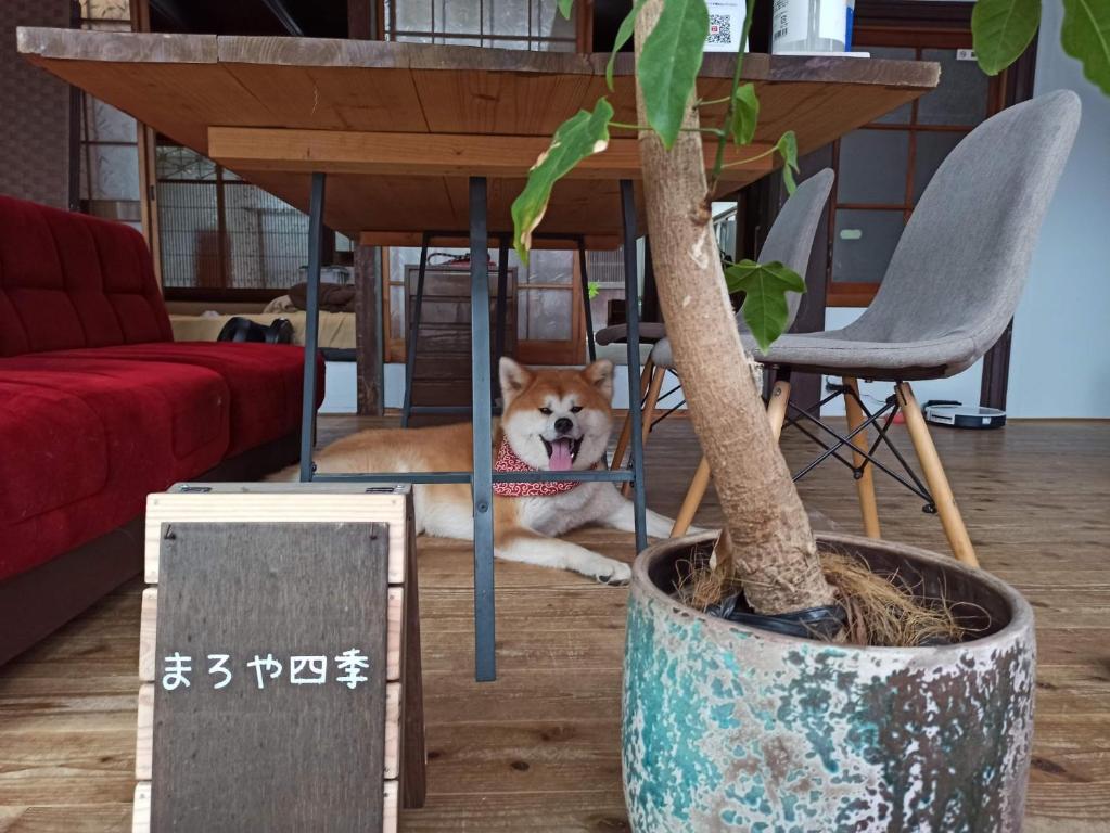 Maroyashiki - Vacation STAY 63184v