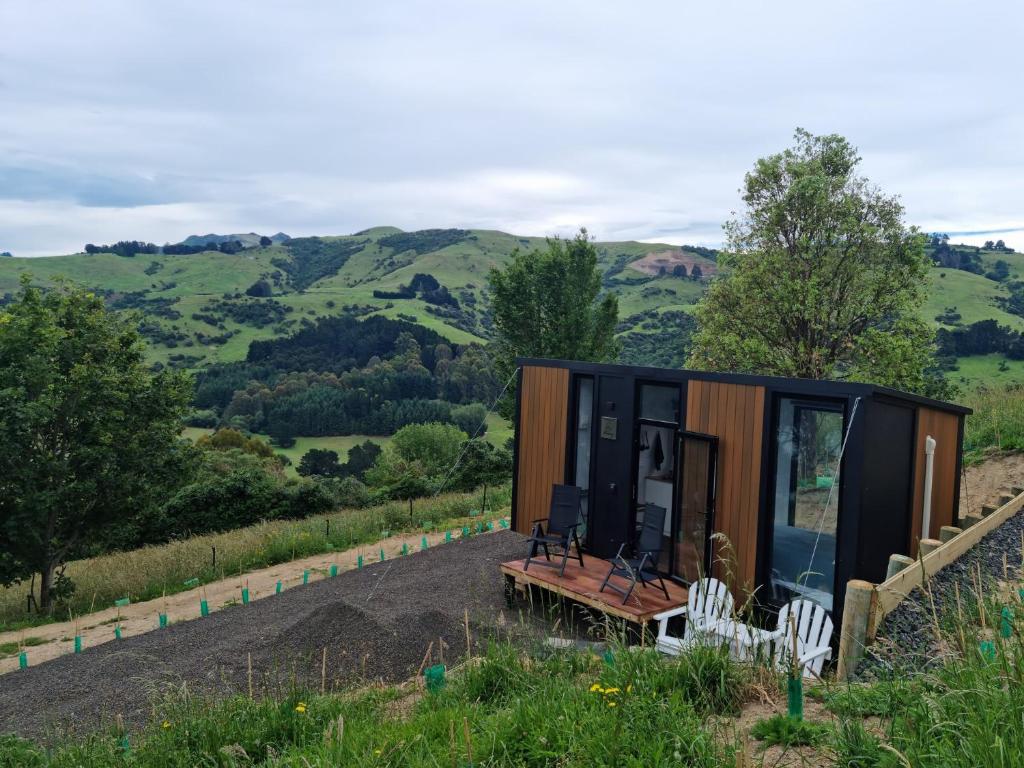 Kukupa Puni at Akaroa Lavender