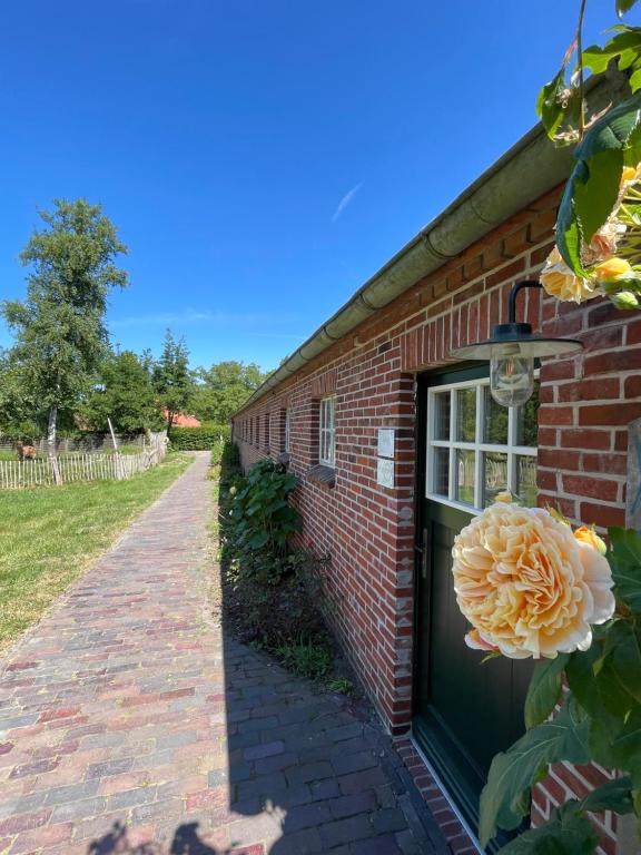 Deichgraf Emden