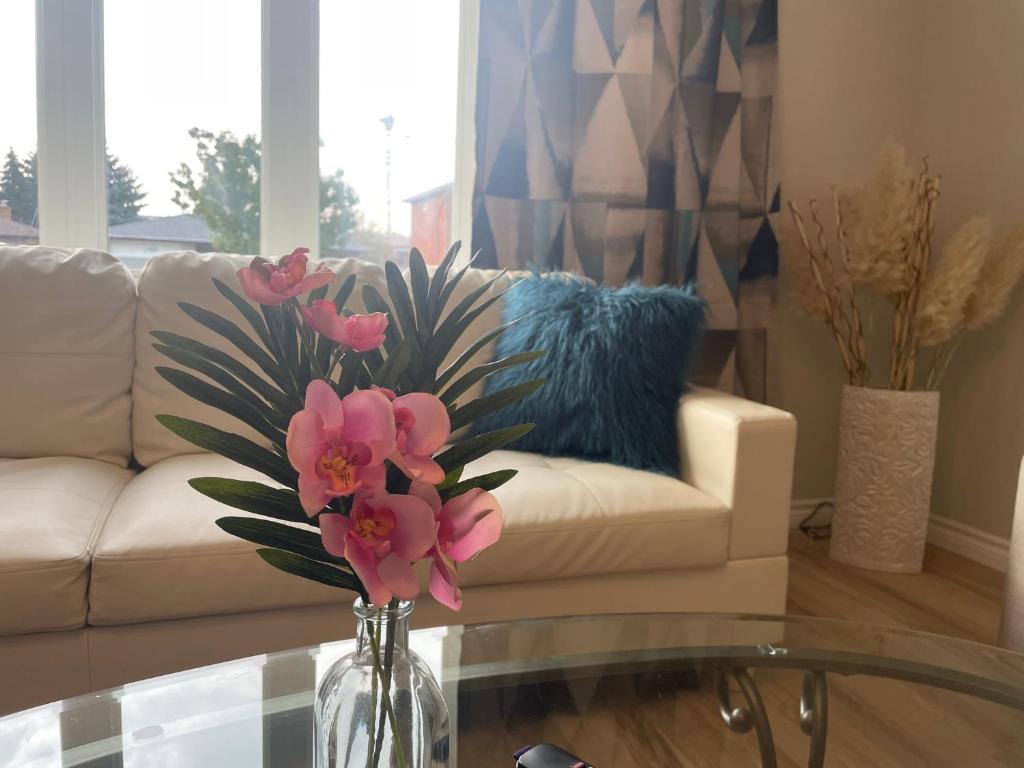 Spacious 3 bedroom apartment close Fairview!
