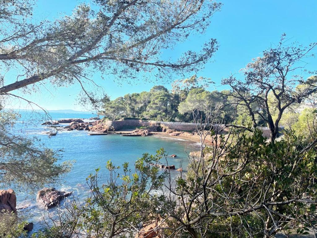 2 pièces Saint Raphael rénové, classé 4 étoiles, 100 m plages, piscine, tennis, parc, terrasse, jardin privatif