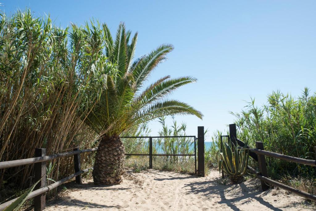 Casara Cinco - Hermosa Casa con Vista al Mar y Acceso Privado a la Playa
