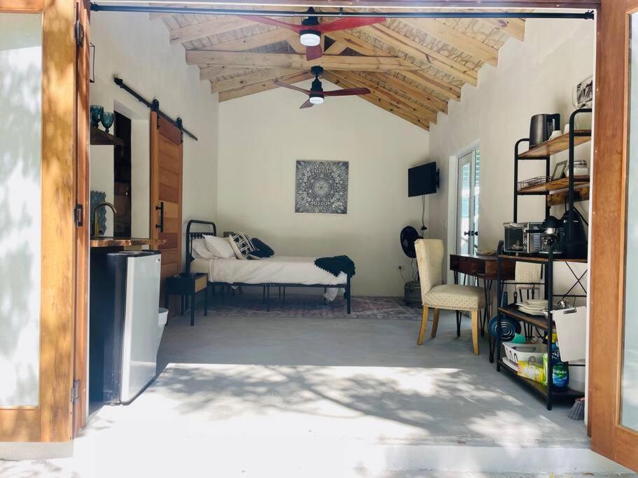 Jungle bungalow studio in Rincon