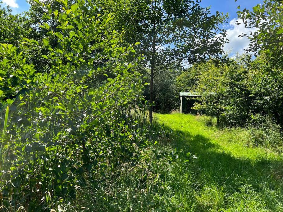 Newly renovated Cottage with private trout fishing set in beautiful wildlife estate