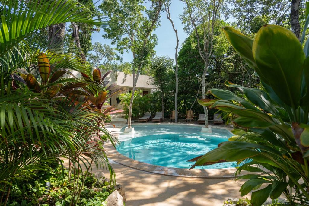 Suites at TreeTops Tulum