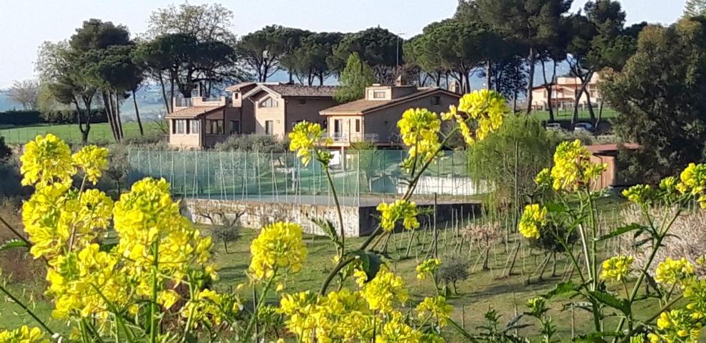 LA CASA NELLA PRATERIA
