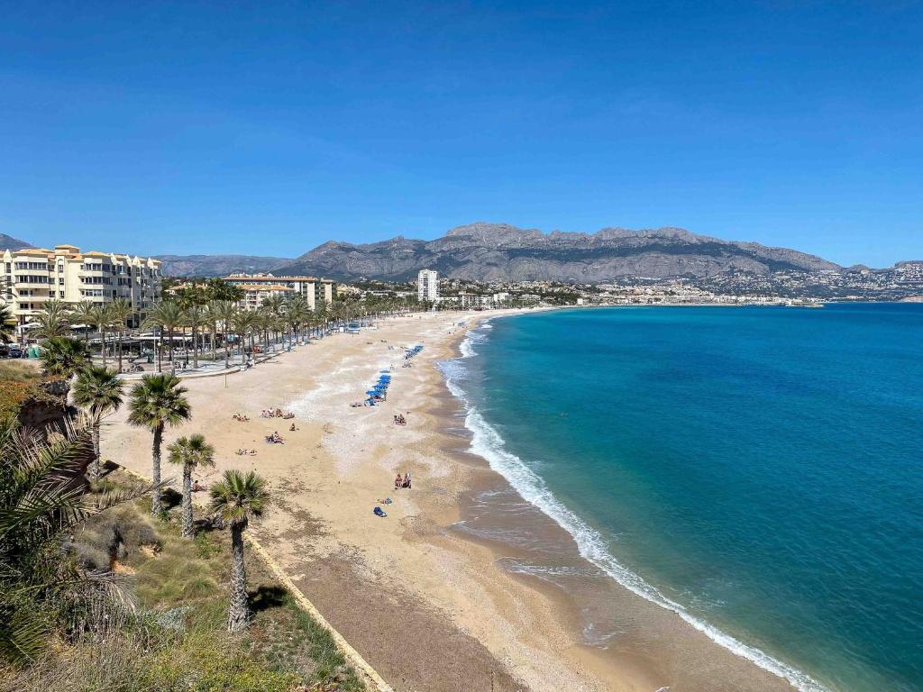 Bon Dia Albir