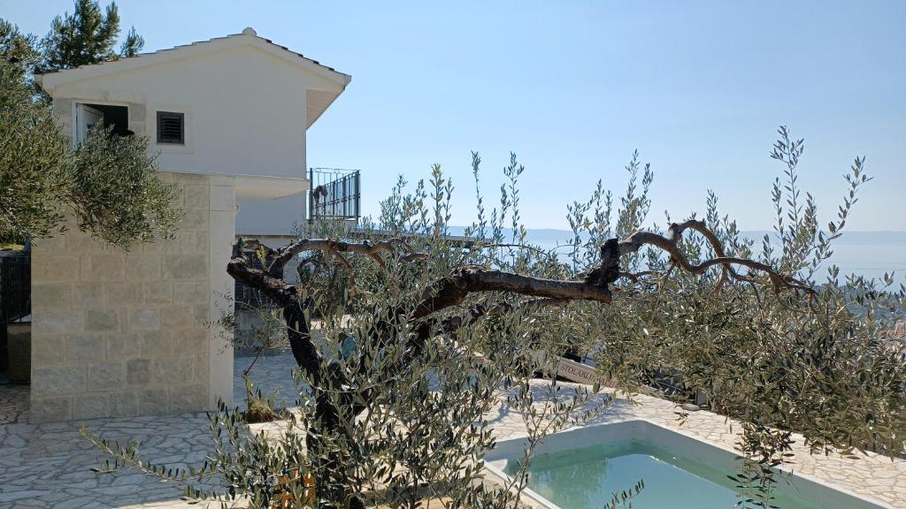 Olive Stone House