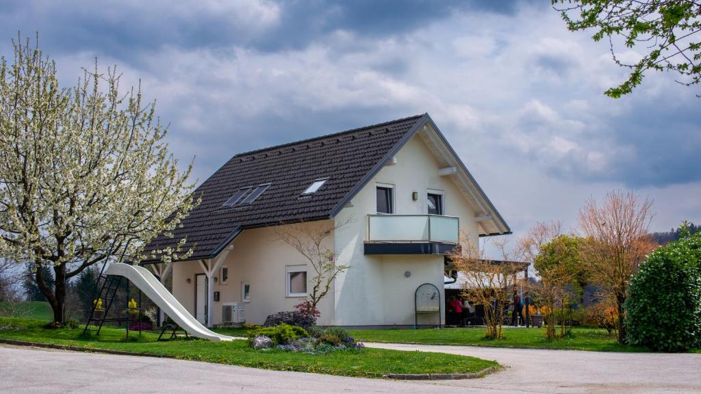 Guest house TOMAN