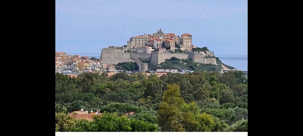 130m2 qui surplombe la baie de Calvi vue citadelle