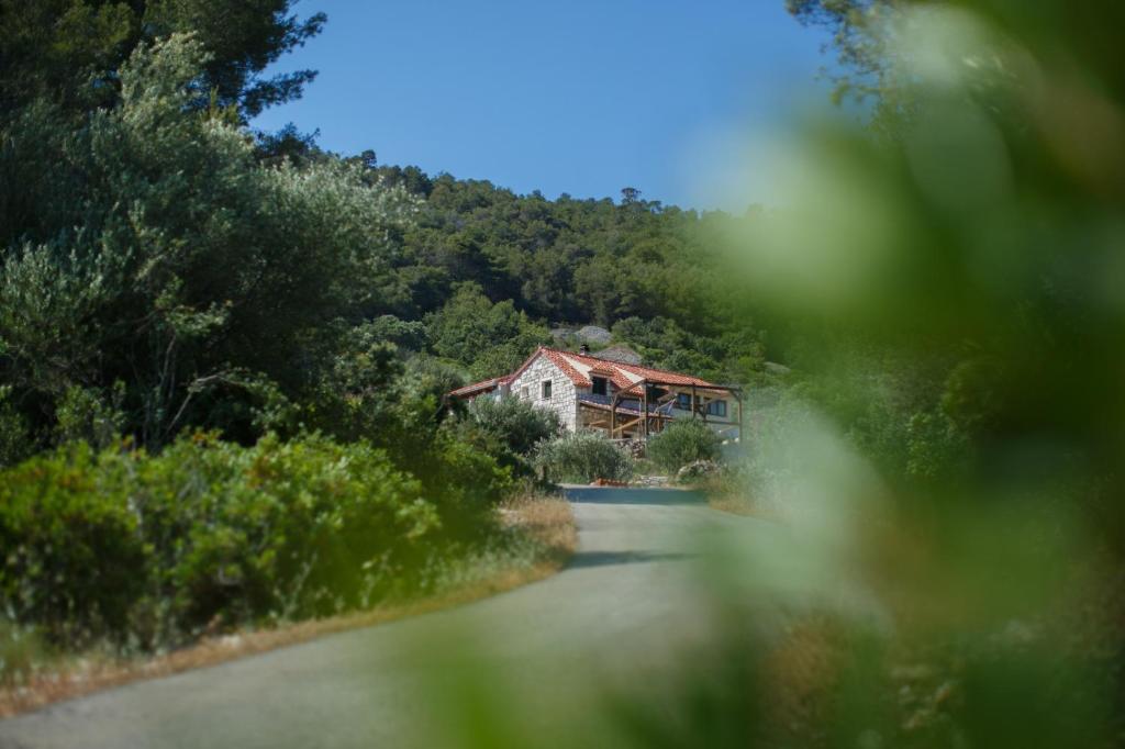 Olive Hill Family House