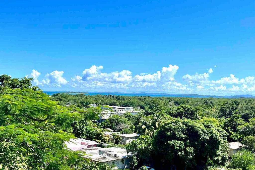 Experience Seven Seas, El Yunque, Culebra, & MORE!