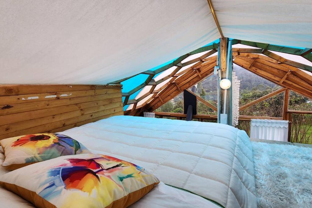 Ecocasa del Encuentro: única y confortable