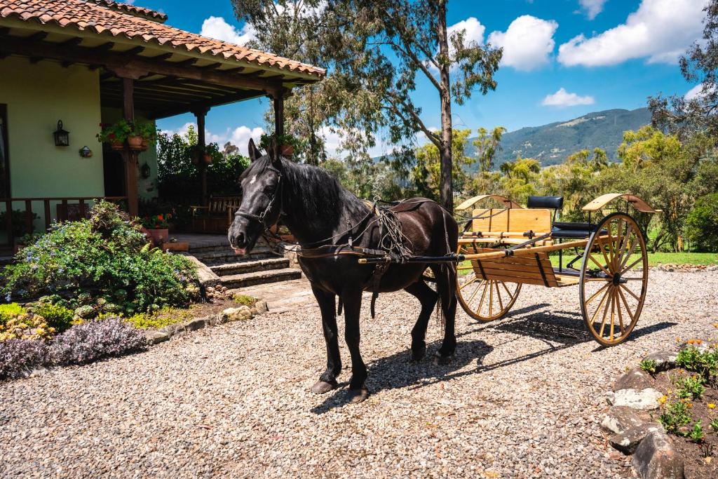 La Lomita