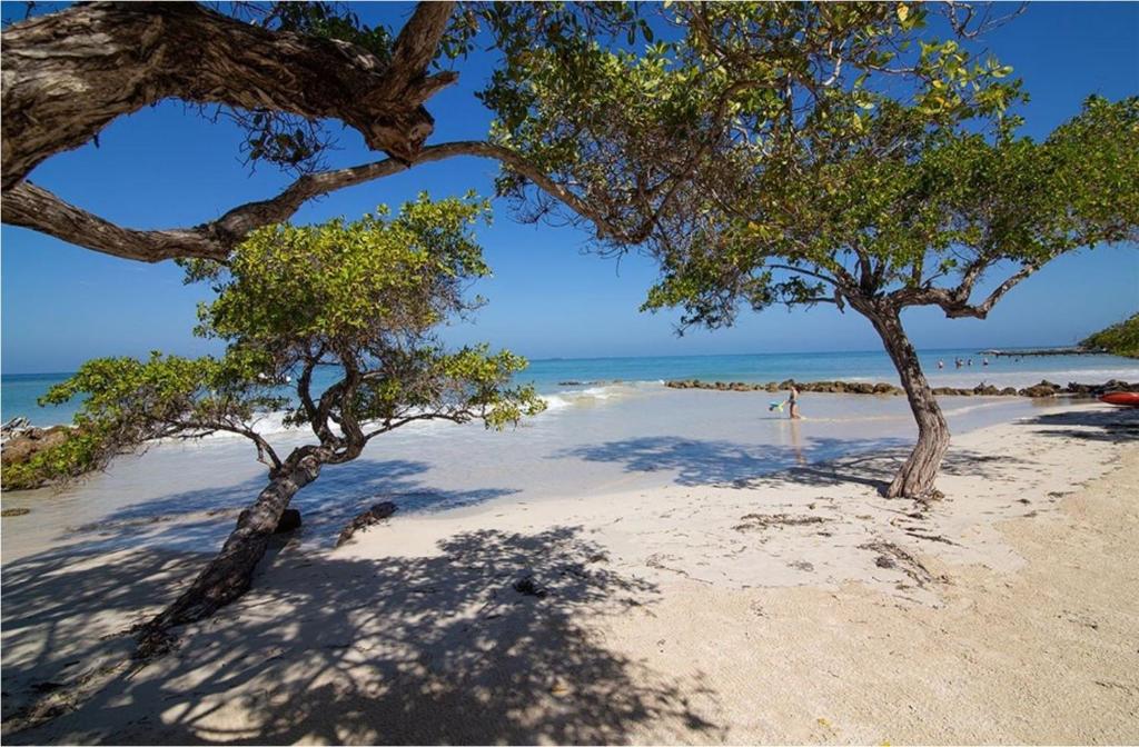 Carey Beach Baru