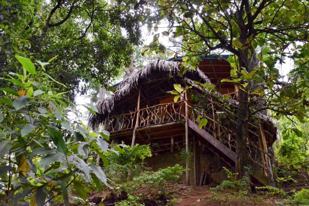 Eco Village